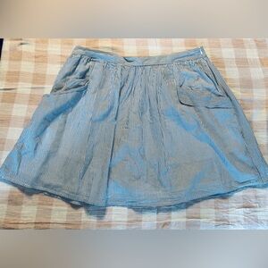 GAP Blue and White Striped Cotton Skirt